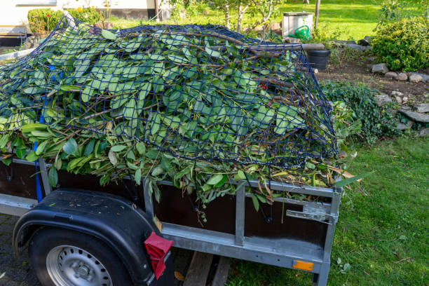 Shed Removal in Unionville, MO